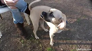 Only Asian Porn Videos 2